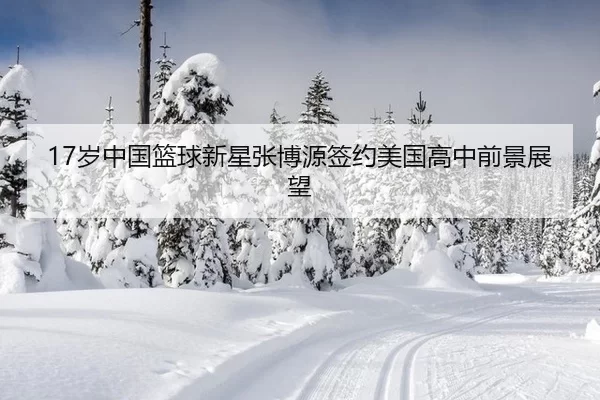 17岁中国篮球新星张博源签约美国高中前景展望