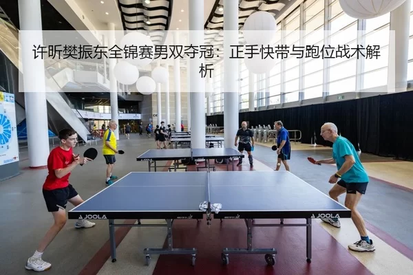 许昕樊振东全锦赛男双夺冠：正手快带与跑位战术解析