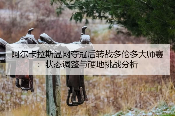 a-er-ka-la-si-wen-wang-duo-guan-hou-zhuan-zhan-duo-lun-duo-da-shi-sai-zhuang-tai-tiao-zheng-yu-ying-di-tiao-zhan-fen-xi-2-671.jpg